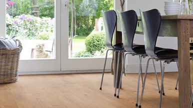 Das Esszimmer ist mit Laminat in hellem Holzfarbton ausgelegt. Ein massiver Esstisch aus Holz und leichte Stühle runden die Einrichtung ab.